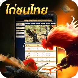 ไก่ชน