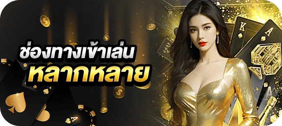 ช่องทางเข้าที่หลากหลาย